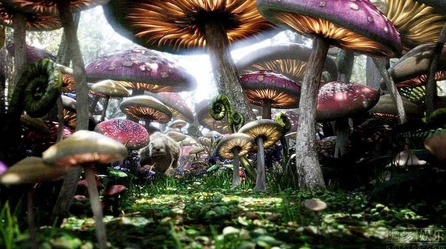 吃达美乐有哪些省钱小技巧?-专业的知识问答网页